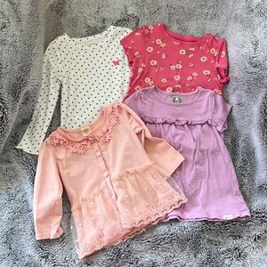 Bundle of toddler girl shirts and Paw Patrol Sky set